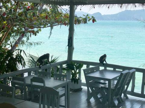 2 Bedroom / 2 Bath at Coconut Beach Bungalows