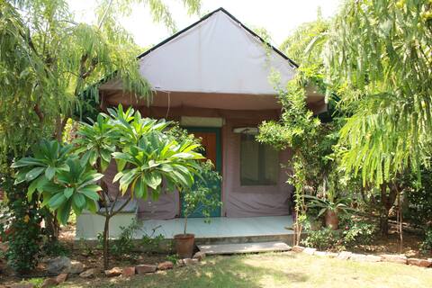 PushkarOrganic - Tent in luxury farm resort