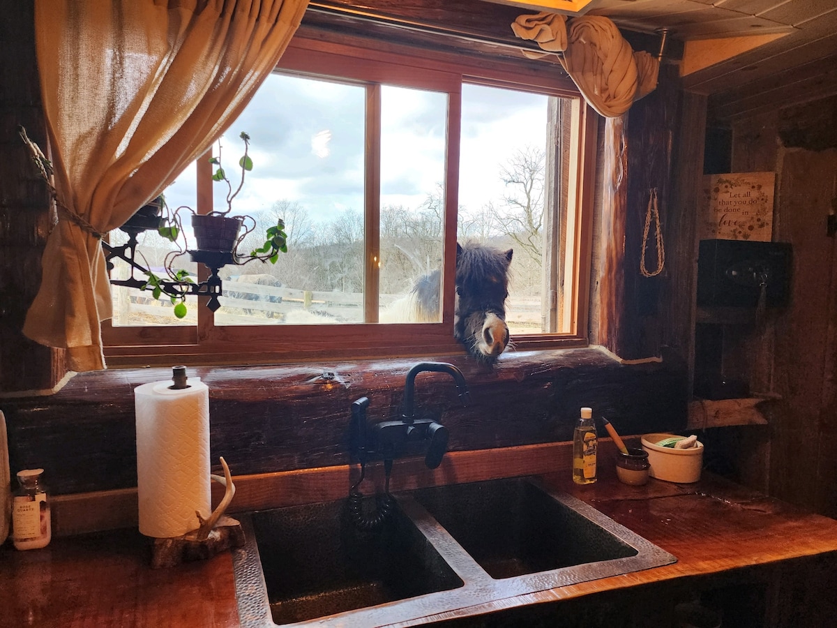 A rustic kitchen window offers a view of the surrounding landscape, with a horse's head peering in. The window is framed by soft curtains, and a wooden sink area features dark fixtures. A paper towel roll and kitchen items are visible, creating a welcoming space.