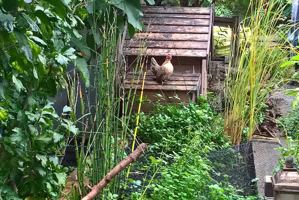 Tips in de tuin