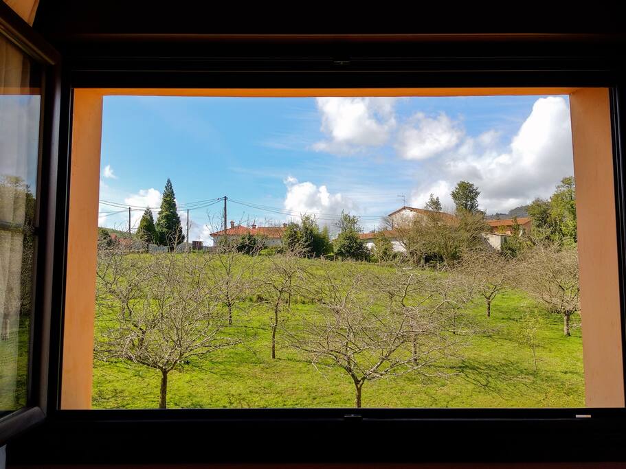 Vistas al jardin