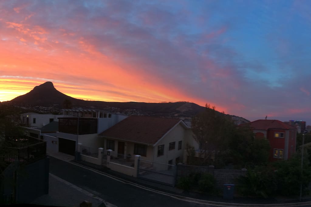 View of Lion's Head