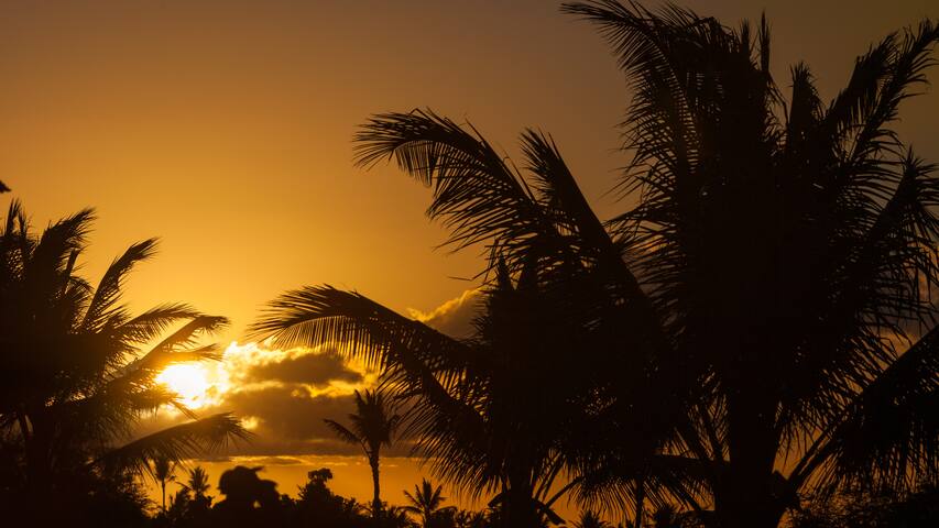 PIH: Hawaiian Destiny: Private heated pool oasis gallery image 5
