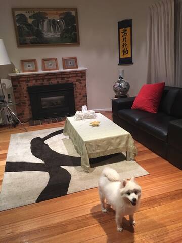 Bulleen dream house room 2 gallery image 4