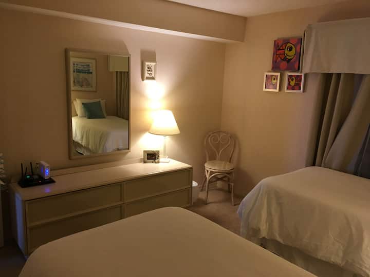 Dhomë e bollshme e mirëmbajtur 