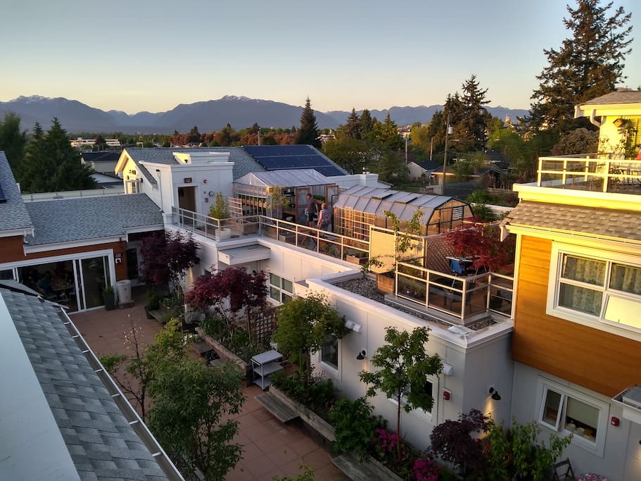 View of the mountains and rooftop garden from our deck