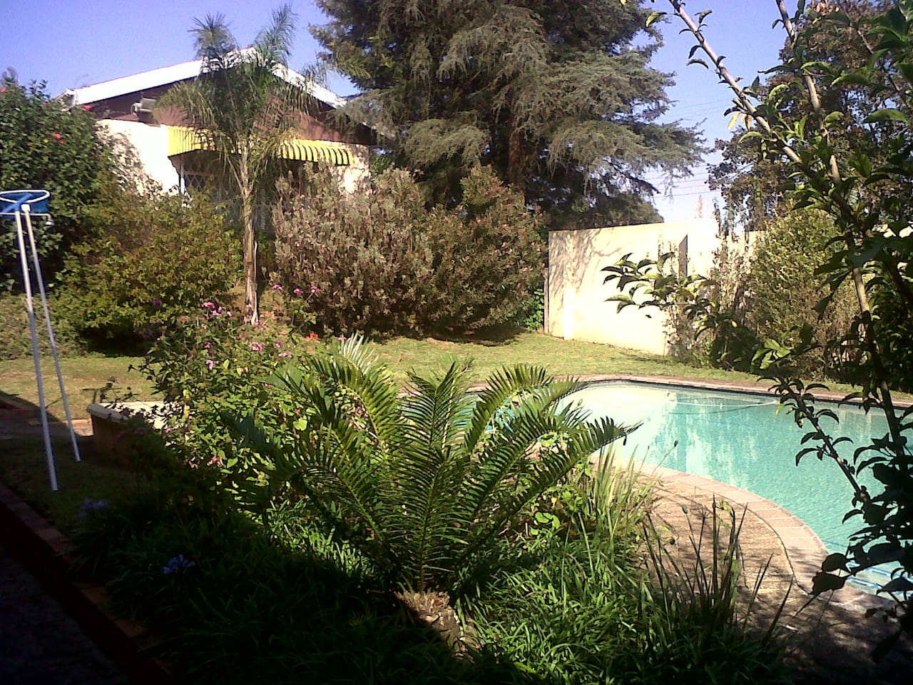 Pool area