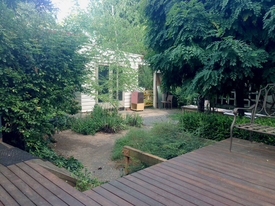 Backyard looking out to pottery studio