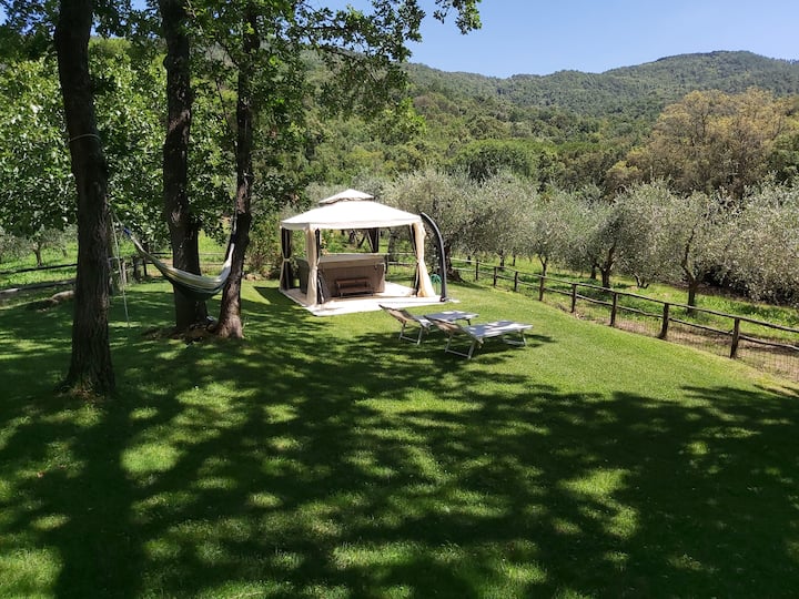 house in the woods with jacuzzi