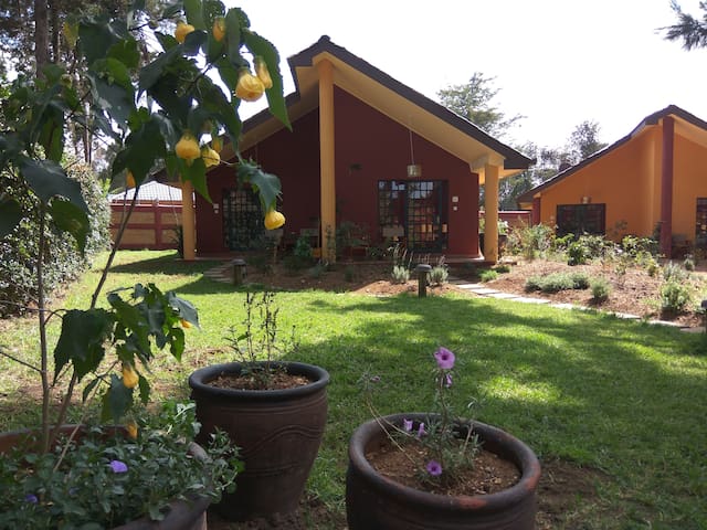 Airbnb Nanyuki Vacation Rentals Places To Stay Laikipia