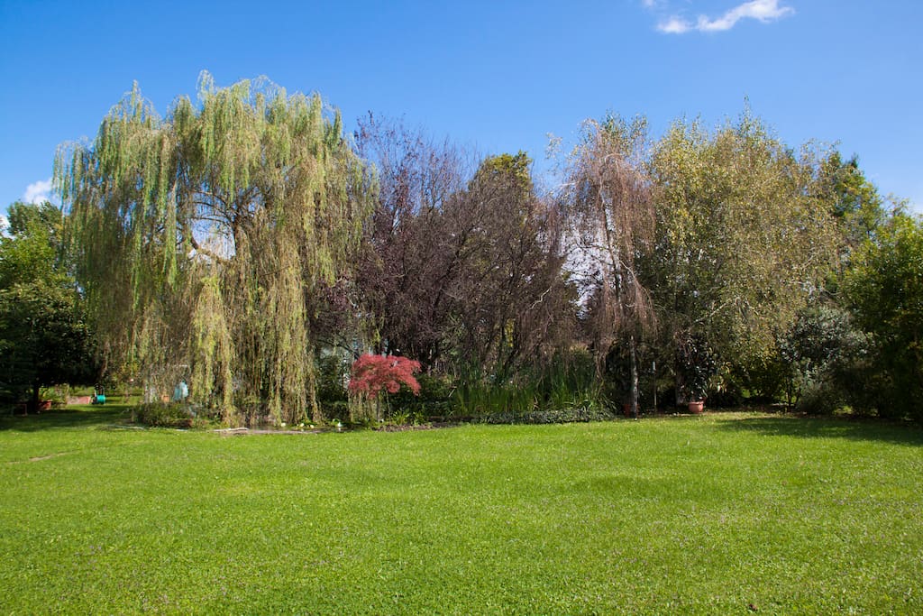 Giardino