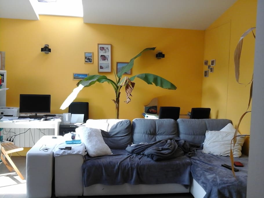 Salon lumineux