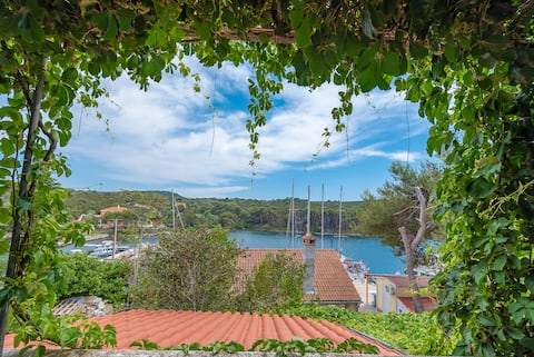 Top Airbnb: Apartman Mirko- A2 in Molat