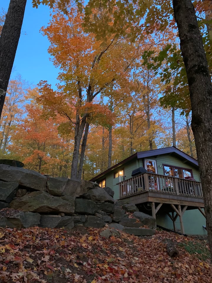 Private Lakefront Retreat swim+sauna+forest Cabins for Rent in