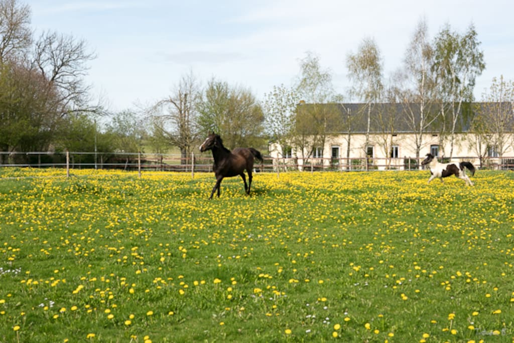 MAUVIERGES