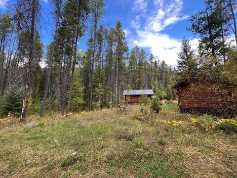 Grizzly Bear Cabin - studio cabin, 8 miles to GNP