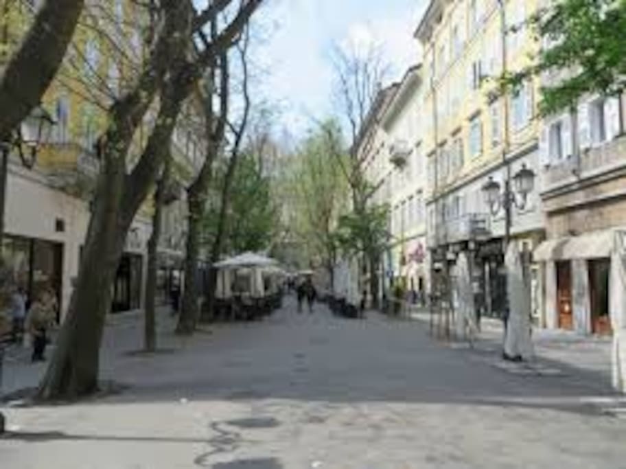 Viale Settembre, just 1 minute from the apartment. Bars, cafes, cinema, banks...