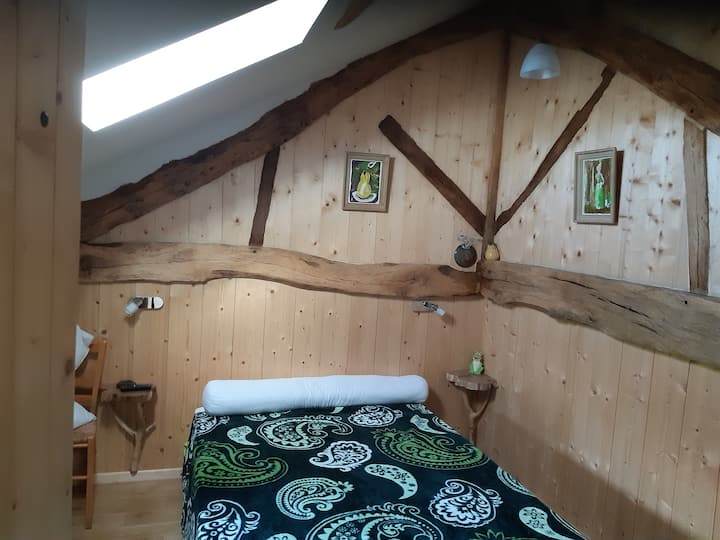 jednoposteľová izba