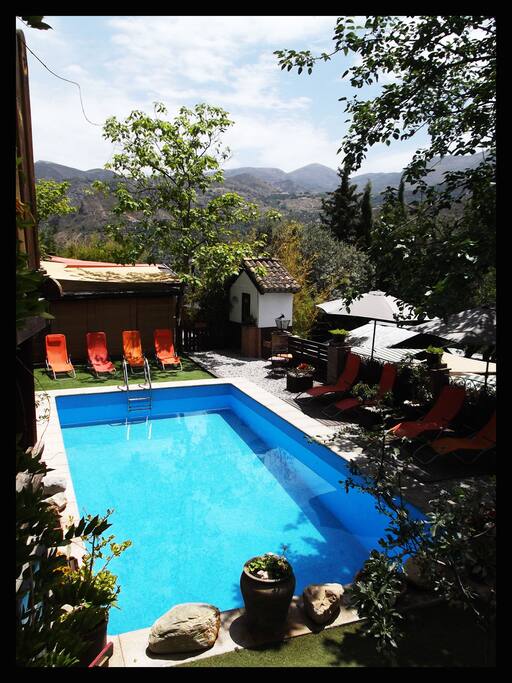 Pool in summer