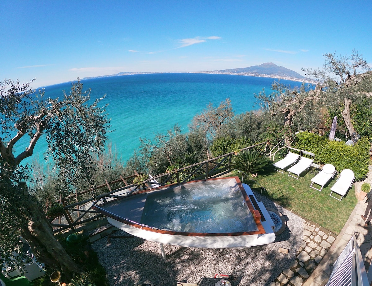A shared hydro tub, resembling a boat, is surrounded by lush greenery and sun loungers. The vibrant blue sea stretches beyond the garden, while olive trees are seen in the background, creating a serene outdoor space for relaxation.