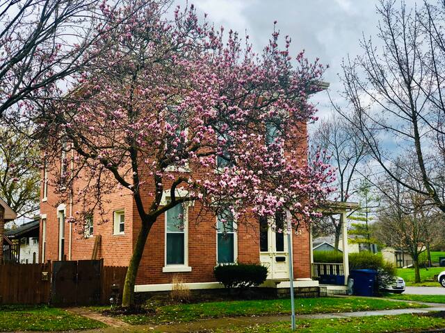 Sophisticated Charm Steps from OWU and Downtown