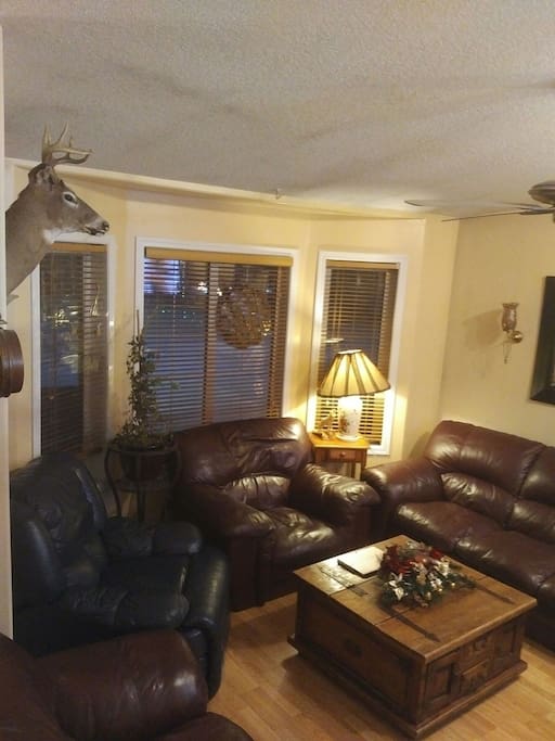 Comfortable living room.