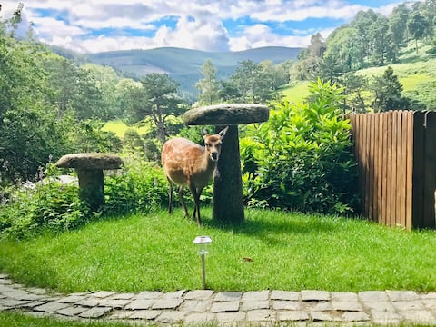 Rustic retreat in Glendalough