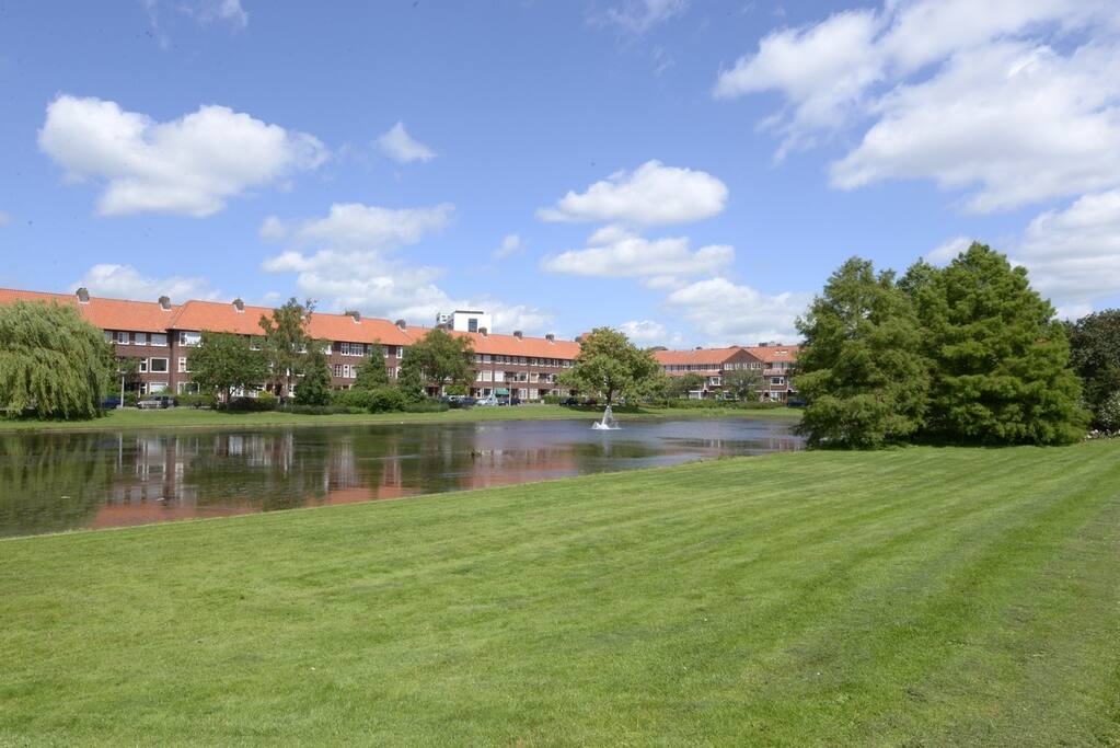 Heerlijke vijver voor de deur van het huis