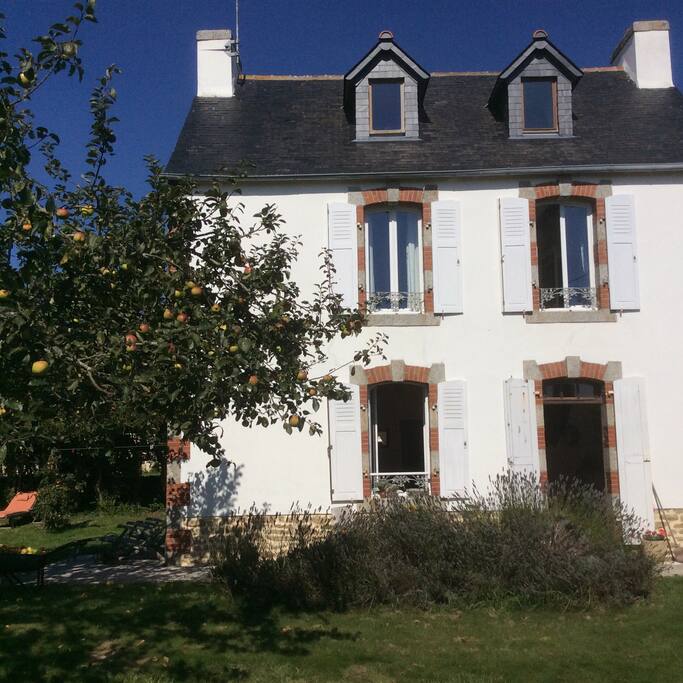 The house