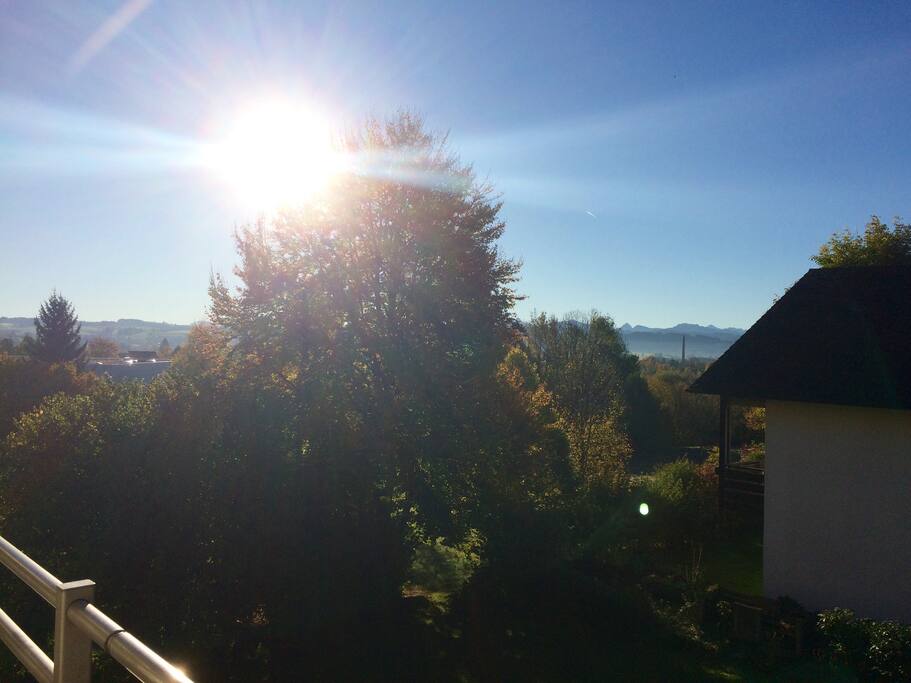 Ausblick vom Balkon / view from the balcony