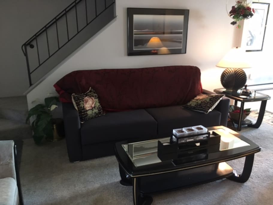 Fold Out Queen Couch