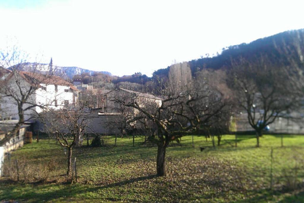 Vue depuis le salon