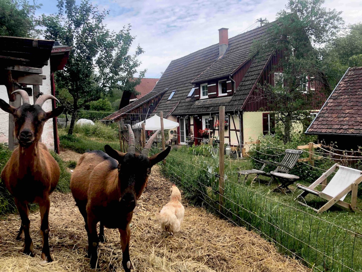 A charming farmhouse is visible in the background, surrounded by greenery. Two goats stand in the foreground on straw, with a chicken wandering nearby. Outdoor seating is present, contributing to a relaxed atmosphere in the garden.