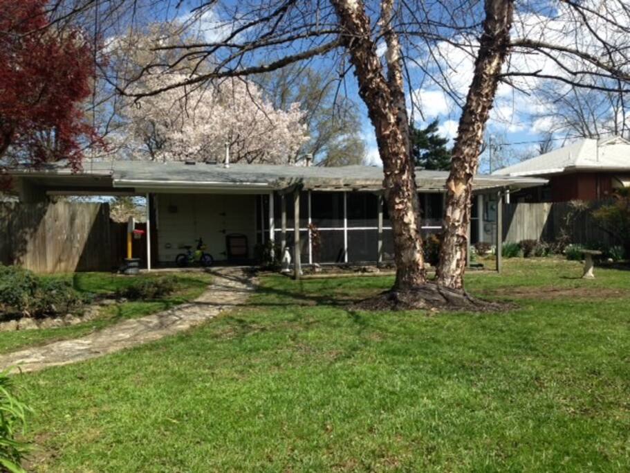 Backyard