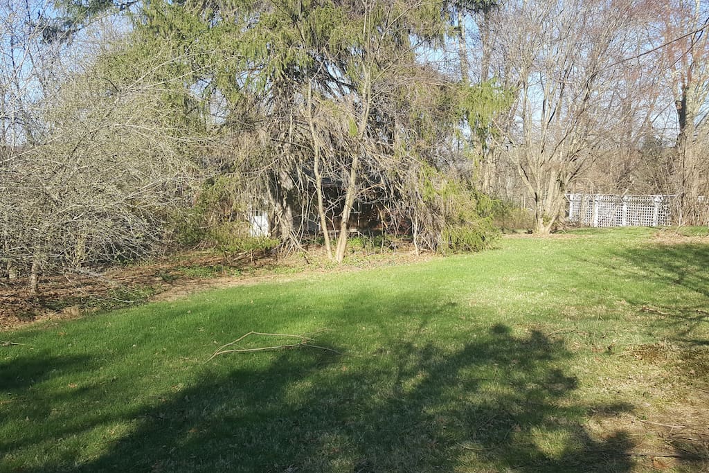 Yard Pic 1