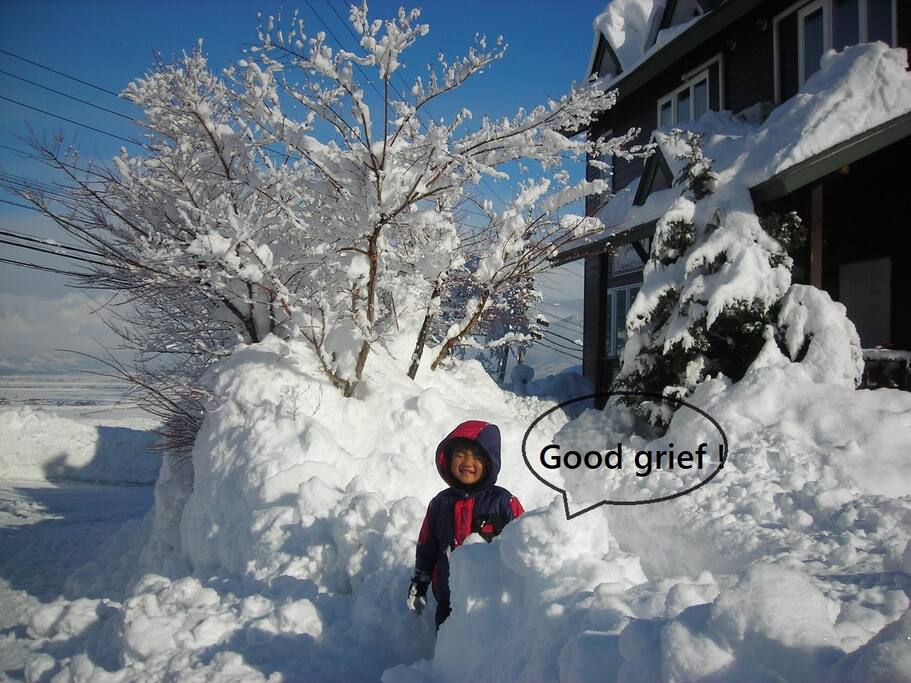 in front of my house in a few years ago. Dec.
