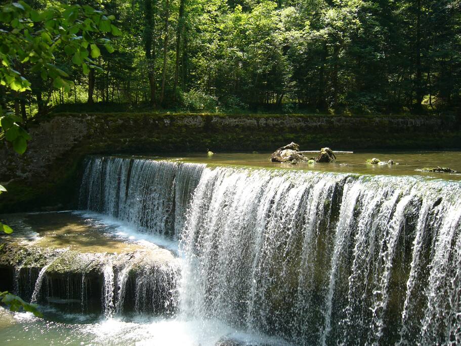 L'Areuse au travers des Gorges