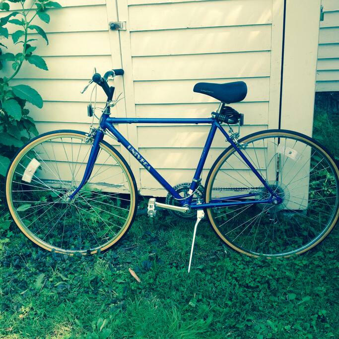 Free bicycles for you to use