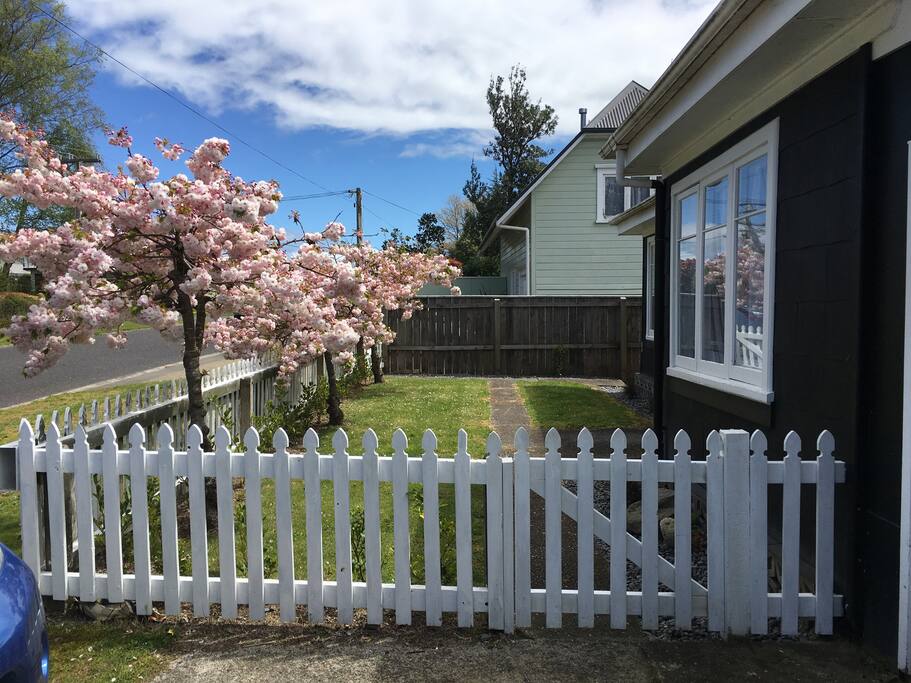 Secure front yard for children and pets. Gate locks on both gates.