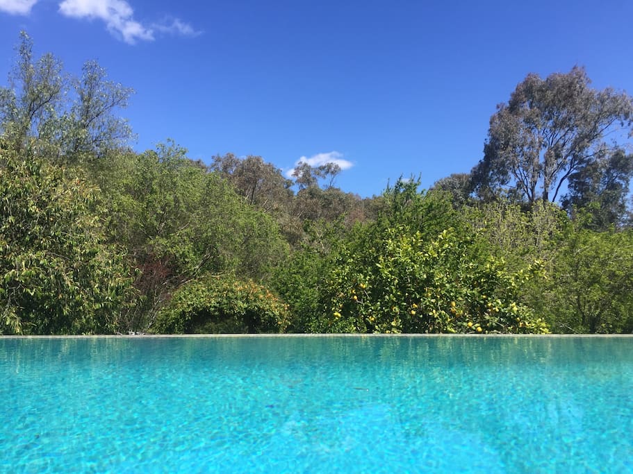 Fresh water infinity pool