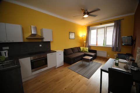 Sunny apartment near centre 2