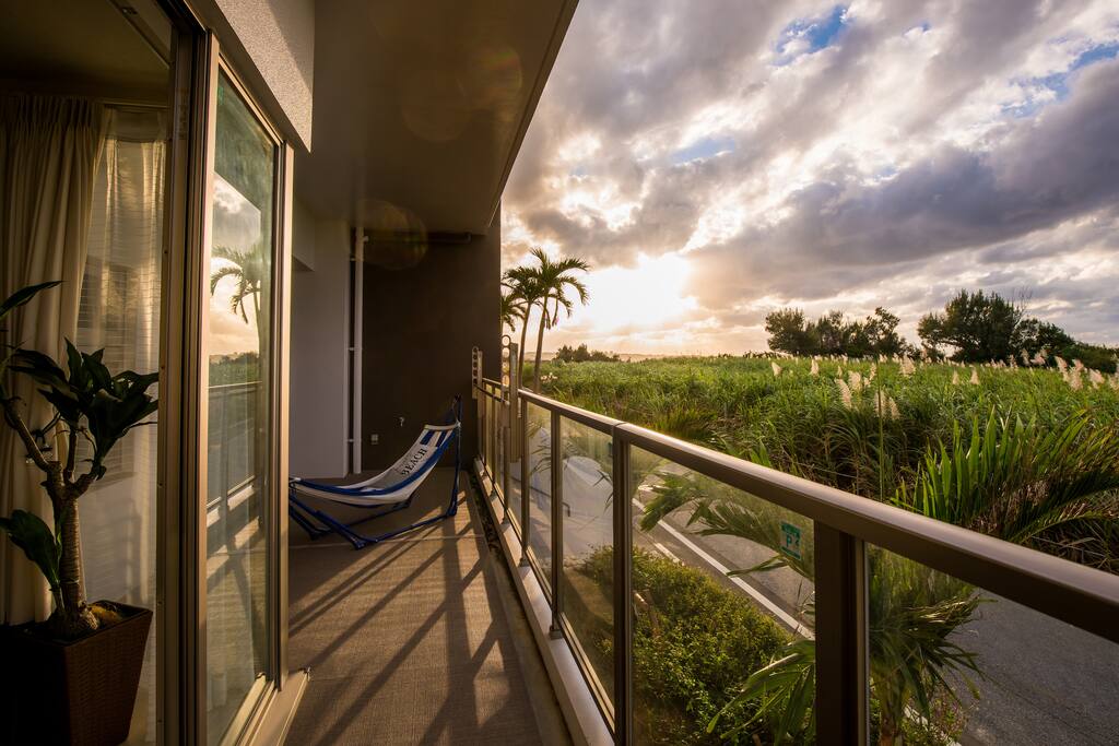 Beautiful sunset over the sugarcane field