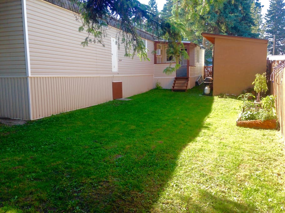 Backyard space