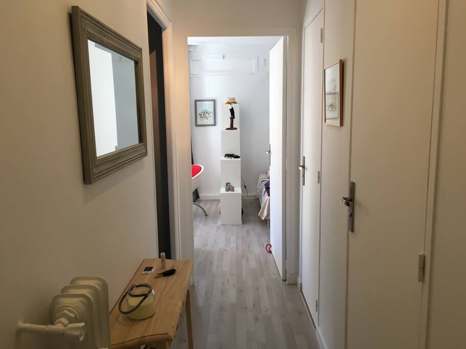 Couloir de réception et de distribution des pièces (SdB, WC, Cuisine, Salon, Chambre)
