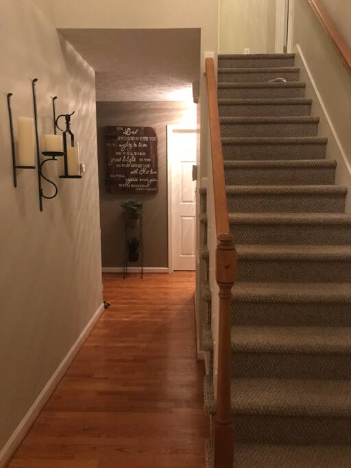 Main entry.