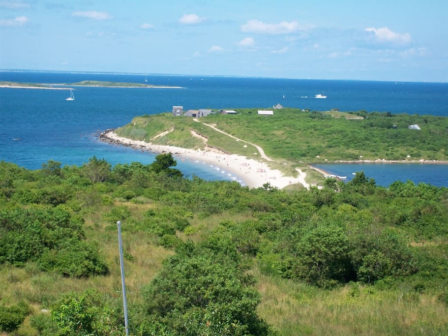 View from first floor deck.