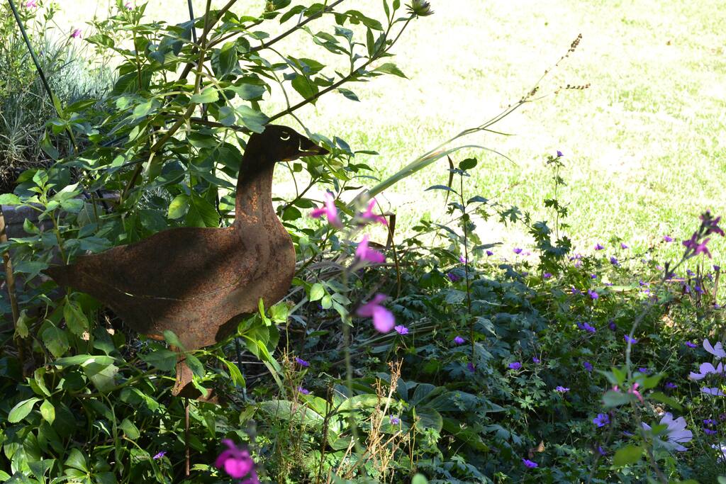 LES ANIMAUX DU JARDIN