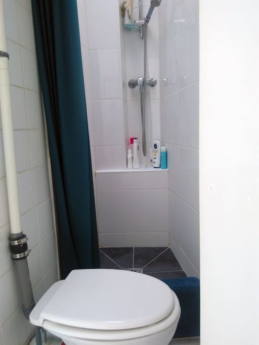 WC with skylight above the shower