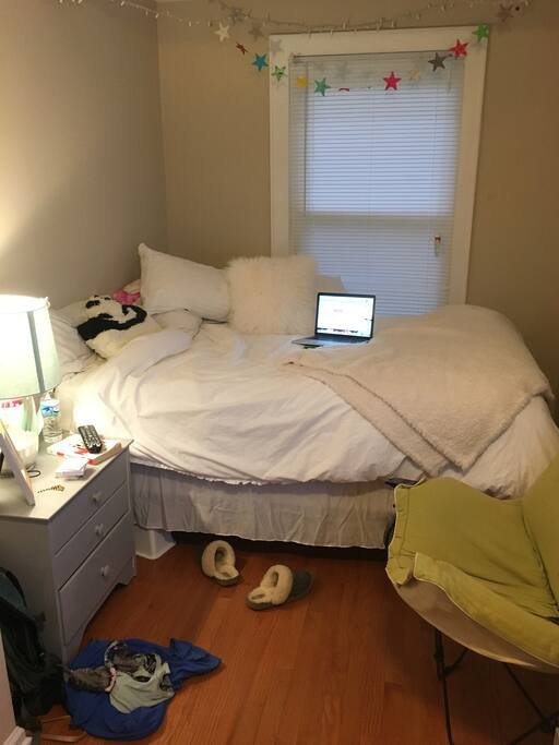 Downstairs bedroom 1
