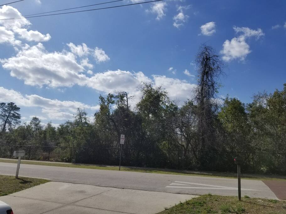 park across the street